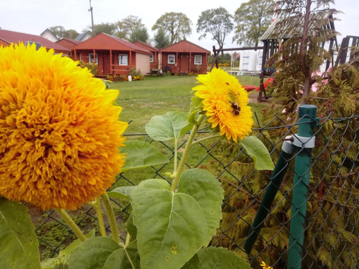 Agroturystyka Domki Eden Sarbinowo Exterior foto